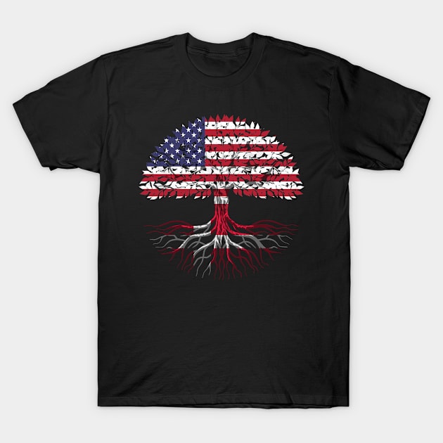 Danish American citizenship gift T-Shirt by SerenityByAlex